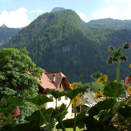 Haus Alpenrose Hotel Obertraun Exterior photo