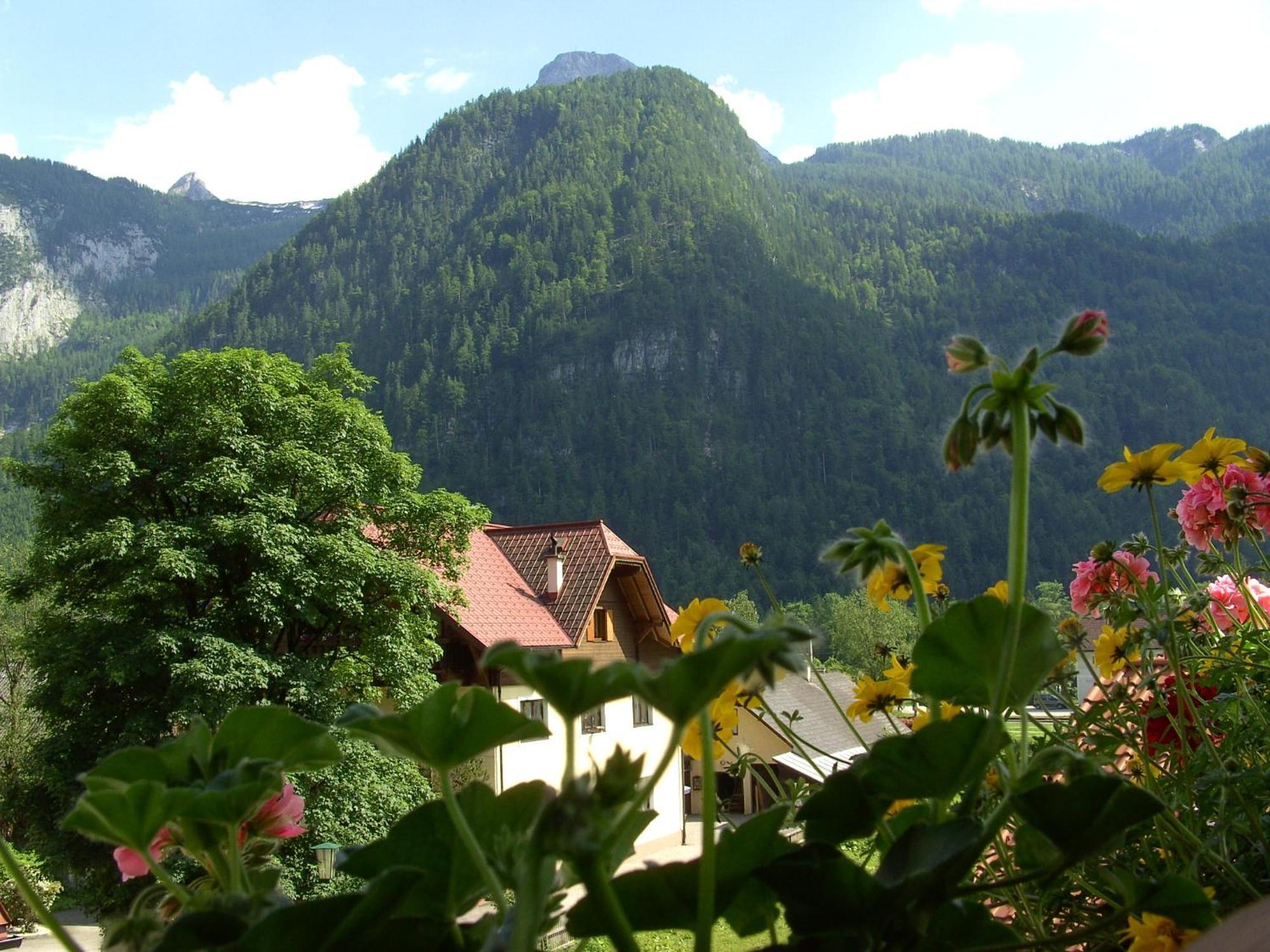 Haus Alpenrose Hotel Obertraun Exterior photo